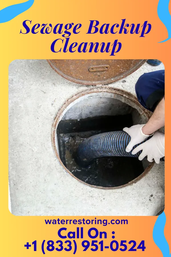 Sewage Backup Cleanup in Cornelia, GA